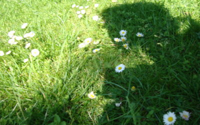 Selbstfürsorge – was ist das?