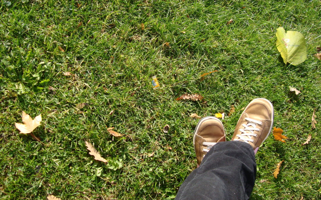 Turnschuhe im Gras