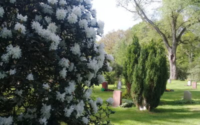 Am Ende stehen nur zwei Daten auf dem Grabstein