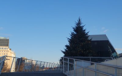 Wilde Wortwechsel vor Weihnachten