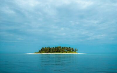 Die Insel