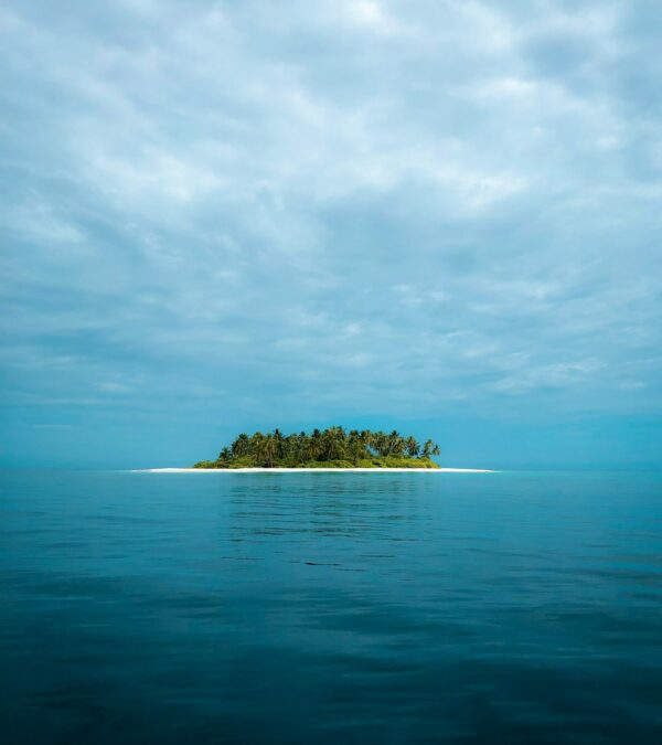 Die Insel